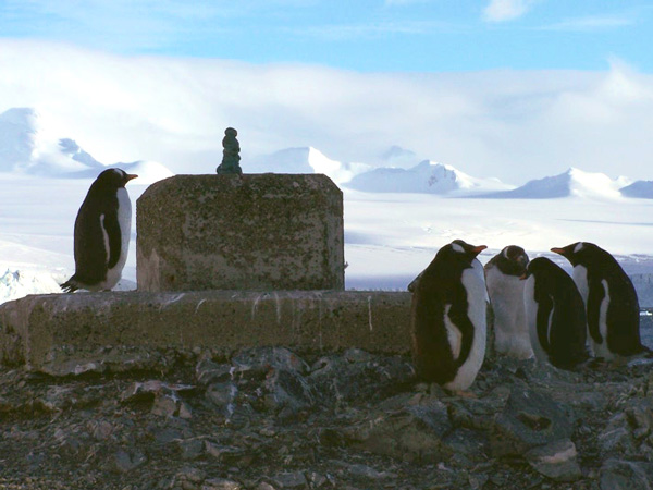 Visitor auf O'Higgins ( 63° 19' 15'' S , 57° 54' 03" W) vor der German Antarctic Receiving Station Ralf Reissig 