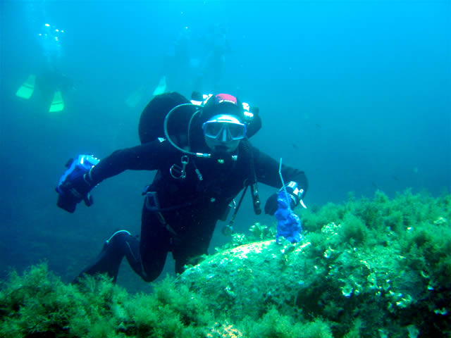 Unterwasservisitor Korsika